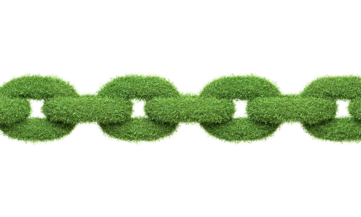 Why Your Agency Service Chain Might Be Compromising Your Sustainability Vision